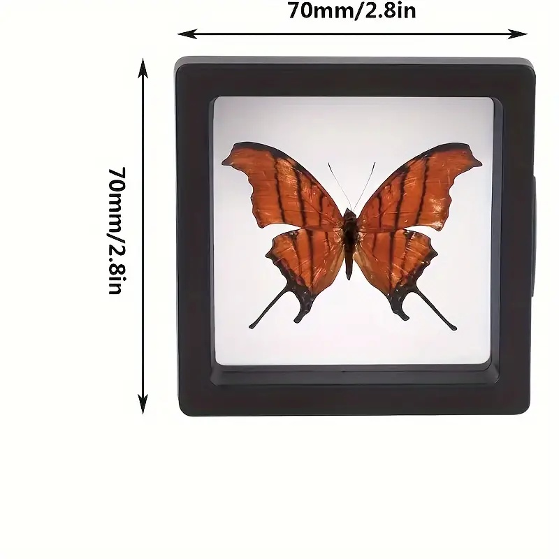 20Pcs Clearview 3D Floating Di - Display Case Acrylic ulasan dan harga